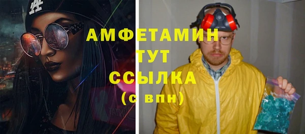 ПСИЛОЦИБИНОВЫЕ ГРИБЫ Горняк