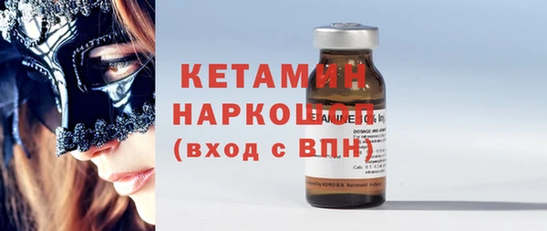 индика Вяземский