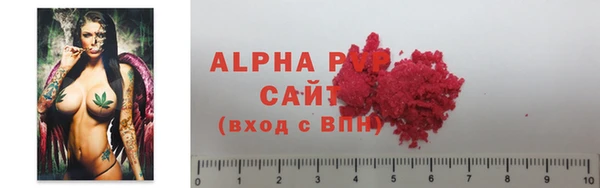 индика Вяземский