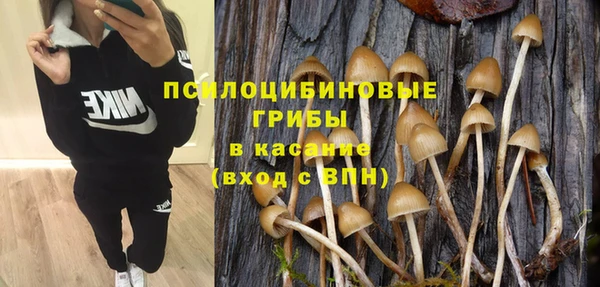 ПСИЛОЦИБИНОВЫЕ ГРИБЫ Горняк