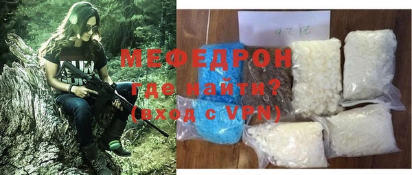 индика Вяземский