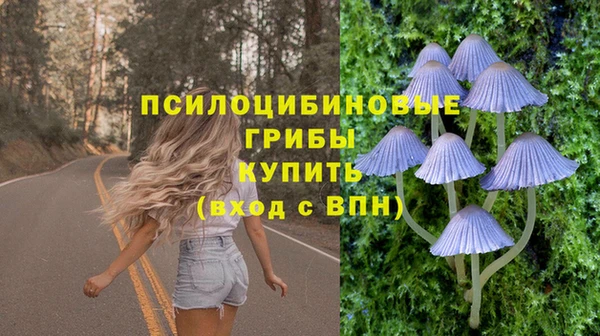 индика Вяземский