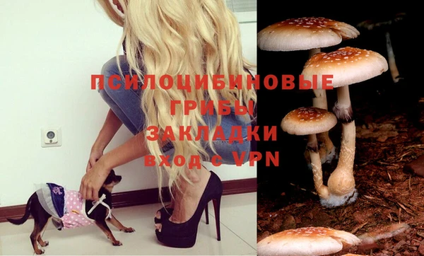 MDMA Вязники