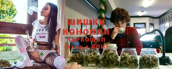 ПСИЛОЦИБИНОВЫЕ ГРИБЫ Горняк