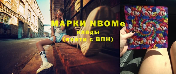 индика Вяземский