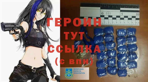 индика Вяземский