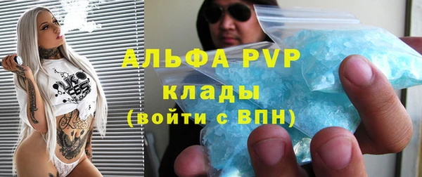 индика Вяземский
