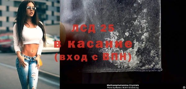 индика Вяземский
