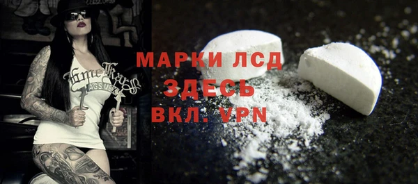 ПСИЛОЦИБИНОВЫЕ ГРИБЫ Горняк